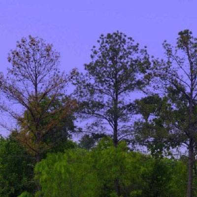 开全站登录appapp下载